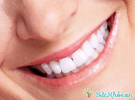 Người có hàm răng nhỏ thường không sống thọ