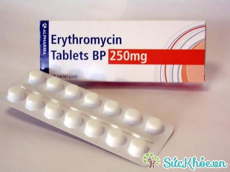 Erythromycin có thể thay thế penicillin để điều trị thấp tim