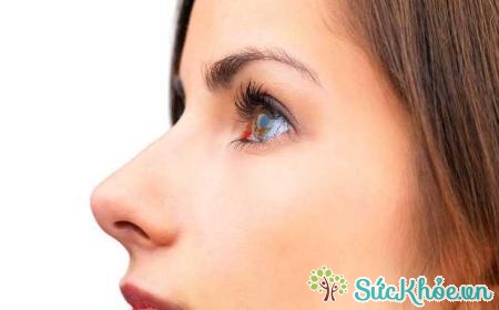 Hình dạng mũi người có thể chịu ảnh hưởng bởi khí hậu