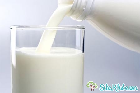 Sữa là thực phẩm tốt cho người đau lưng