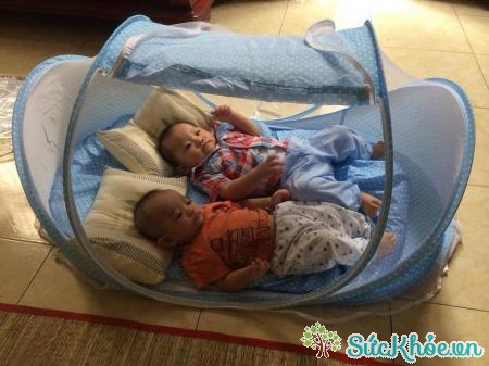 Luôn ngủ trong màn để tránh bị muỗi đốt