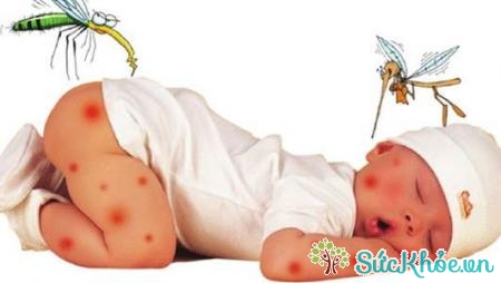 Sốt xuất huyết có thể gây tử vong