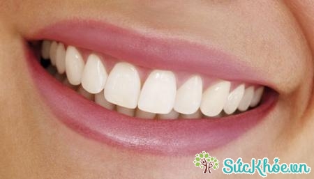 Răng là phần phụ cứng nằm trong khoang miệng