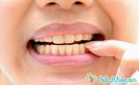 Men răng chứa hàm lượng khoáng chất cao nhất
