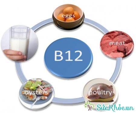 Thiếu máu do thiếu vitamin B12 là bệnh lý ít gặp