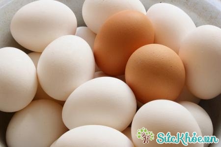 Trứng là thực phẩm tốt cho trí não cần cho sĩ tử