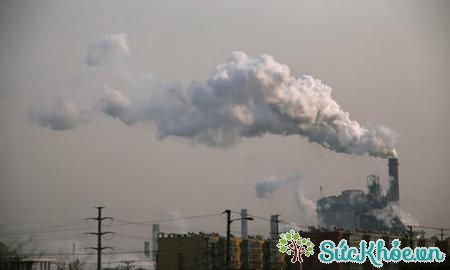 Hít không khí ô nhiễm có thể là nguyên nhân tử vong