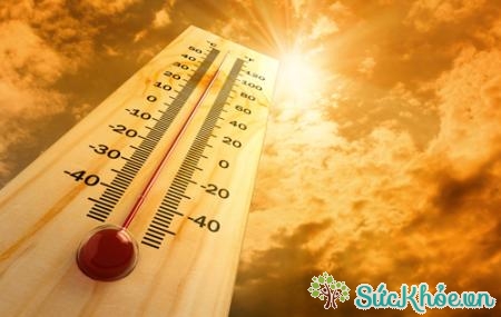 Nhiệt độ quá nóng là một nguyên nhân làm giảm chất lượng tinh trùng
