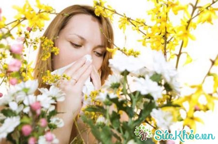 Dị ứng phấn hoa thường có biểu hiện hắt hơi, sổ mũi
