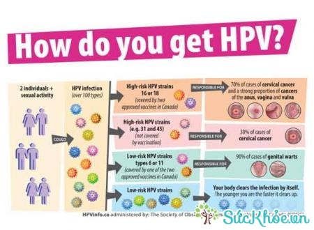 HPV- tác nhân chính gây mụn cóc