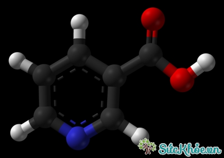 Cấu trúc niacin (vitamin B3)