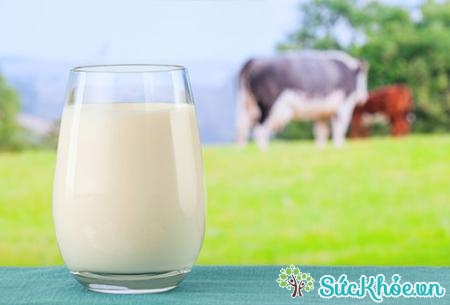 Dị ứng sữa bò ở trẻ em hay còn gọi là dị ứng protein trong sữa bò