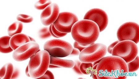 Thiếu máu do suy thận mạn có thể do chạy thận nhân tạo