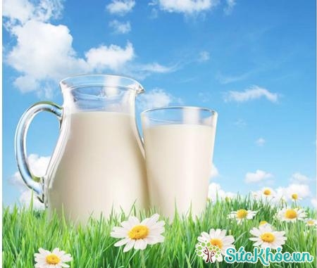 Uống sữa để phòng tránh loãng xương sau sinh