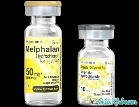  Melphalan sử dụng trong điều trị đau tủy xương