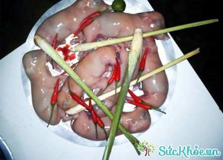 Chuột bao tử Trung Quốc là một trong những món ăn kinh dị nhất hành tinh