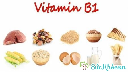 Thực phẩm có chứa nhiều vitamin B1 và niacine đều là những thực phẩm tốt cho người cận thị