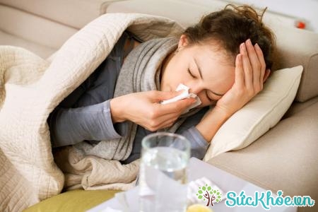 Khi nhiễm virus cảm cúm sẽ ảnh hưởng đến dẫn truyền của dây thần kinh số 7