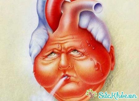 Hở van động mạch chủ do bị nhiễm trùng