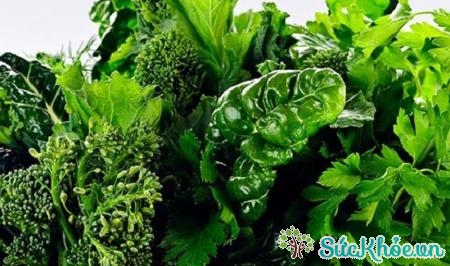 Rau cải màu xanh đậm là một trong những thực phẩm bổ sung collagen bạn nên biết