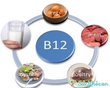 Trong chế độ ăn cho người đau thần kinh tọa nên bổ sung những thực phẩm chứa vitamin B12