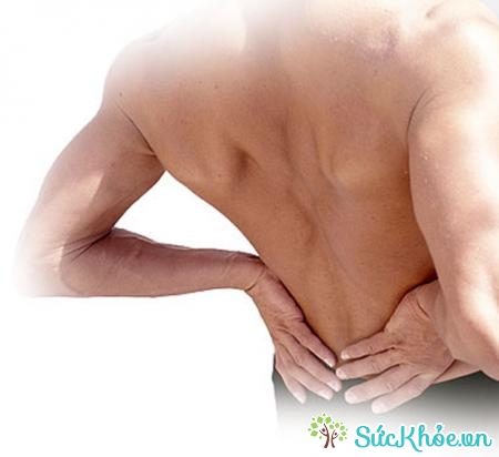 Các bệnh lý về cột sống là nguyên nhân dẫn đến đau thắt lưng