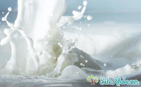 Sữa với thành phần canxi giúp chống lại virus gây bệnh