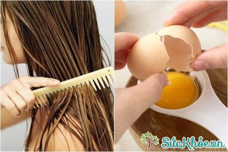Trị rụng tóc bằng trứng gà hiệu quả bạn có thể áp dụng là cách trị rụng tóc bằng trứng gà hiệu quả