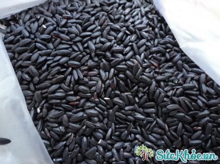 Gạo đen chứa hàm lượng đường thấp, đồng thời lại giàu chất xơ