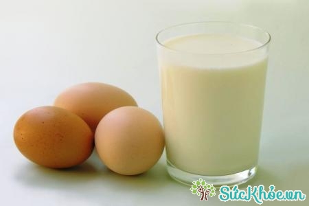 Trứng gà và sữa giúp phục hồi tóc hư tổn nhanh