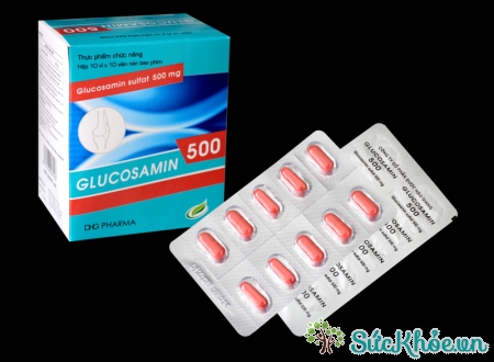 Glucosamin là thuốc giúp làm giảm triệu chứng của viêm khớp gối nhẹ và trung bình
