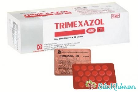 Trimexazol giúp điều trị các bệnh đường hô hấp, đường tiêu hóa