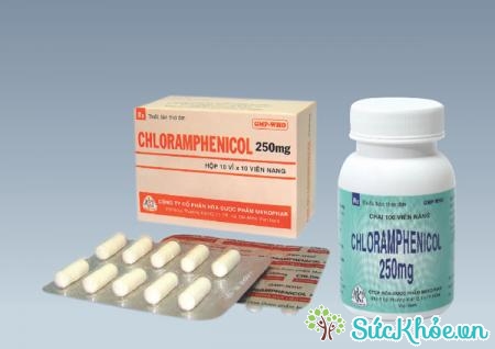 Chloramphenicol được dùng để kìm hãm sự phát triển của vi khuẩn sốt mò.