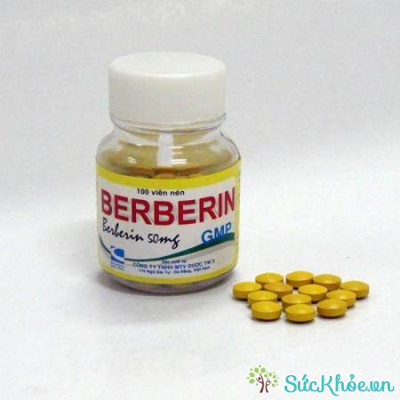 Berberin có tác dụng kháng khuẩn, trị tiêu chảy, lị amip, lị trực trùng hiệu quả