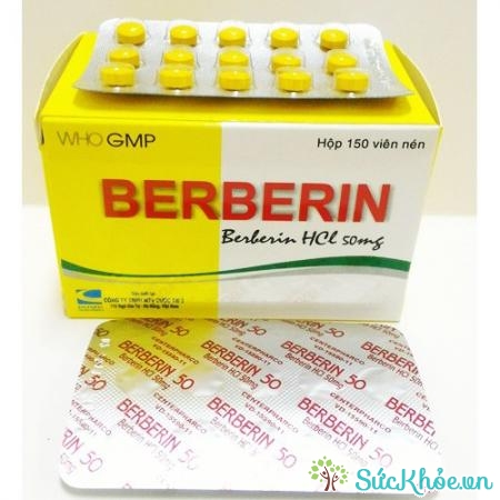 Berberin có tác dụng kháng khuẩn, điều tị tiêu chảy, lị trực trùng hiệu quả