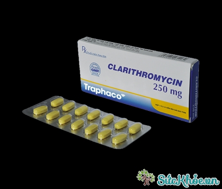 Clarithromycin là thuốc điều trị nhiễm khuẩn đường hô hấp