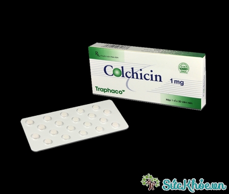 Colchicin có tác dụng điều trị đợt cấp của bệnh gút hiệu quả