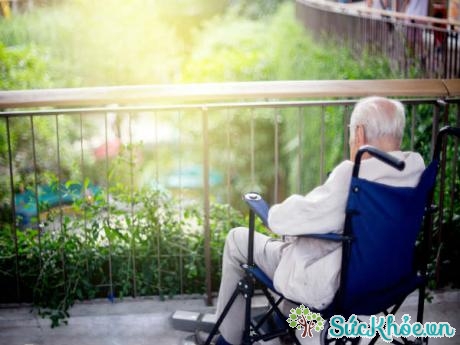 Những thói quen giúp phòng ngừa sa sút trí tuệ và bệnh Alzheimer