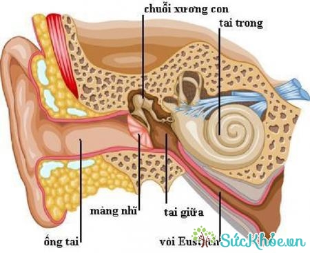 Cần giữ cho tai luôn khô để hạn chế tình trạng thủng màng nhĩ gây đau tai
