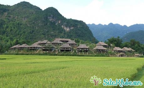 Mai Châu Ecolodge Resort, Mai Châu Hòa Bình. Đây là một khu nghỉ dưỡng sang trọng được bao quanh bởi nhiều ngọn núi hùng vĩ tuyệt đẹp của Mai Châu, đan xen là những đồng lúa xanh miên man. 