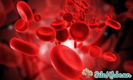 Thiếu máu là một tác dụng phụ về huyết học khi dùng thuốc