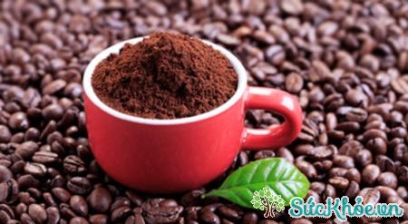 Trộn bã cà phê với đất trồng cây để cây phát triển tốt hơn