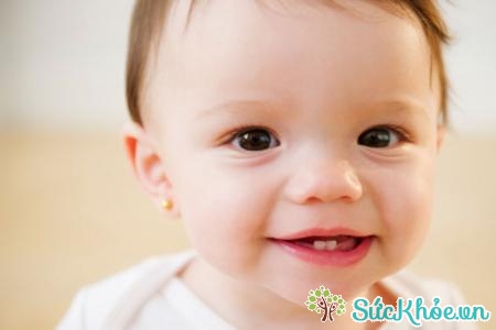 Trẻ thường mọc răng trong khoảng 6 - 8 tháng tuổi