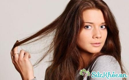Sợi tóc sẽ khô và xơ xác khi thiếu màng dưỡng chất
