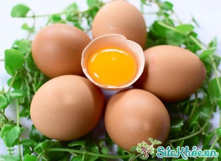 Trứng vừa là thức ăn vừa là vị thuốc và nó có mặt trong khá nhiều món ăn bài thuốc