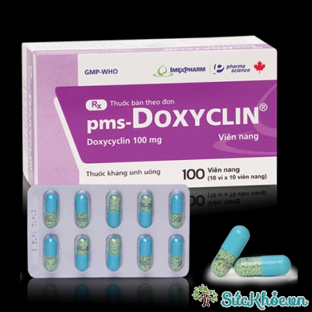Thuốc pms-Doxyclin 100 là một loại thuốc kháng sinh phổ rộng