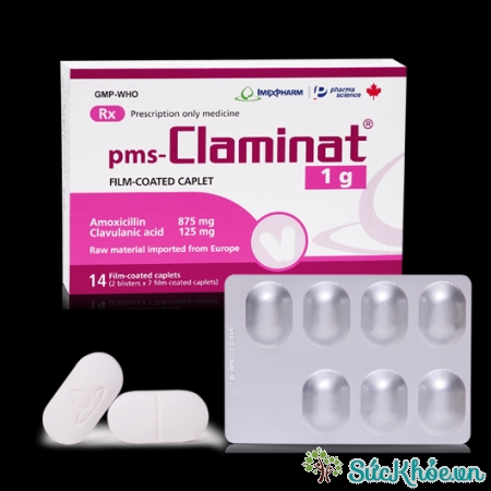 Thuốc pms-Claminat 1g điều trị các trường hợp nhiễm khuẩn
