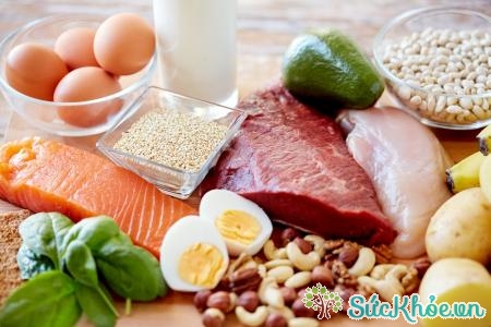 Nên sử dụng lượng protein hợp lý trong bữa ăn hàng ngày