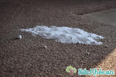 Mẹo lau dọn vết nhơ trên thảm đơn giản bằng bột baking