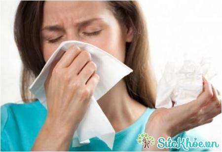 Rau mùi tây chữa cảm cúm